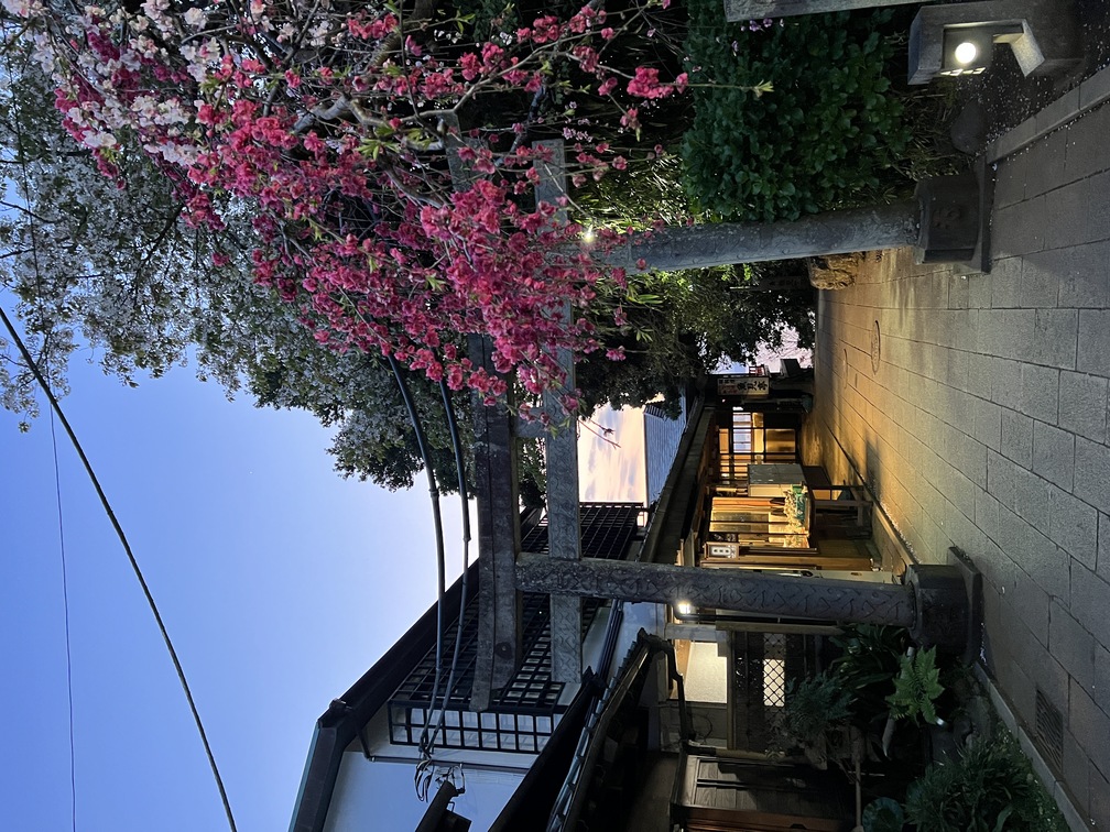 江ノ島